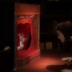 Image for article titled Alice Otherlands Is a Rocky Experiment in Filmmaking
